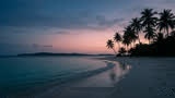 Plage tropicale